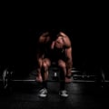 A Complete Guide to Building Muscle: The Best Workout Routines for Maximum Gains